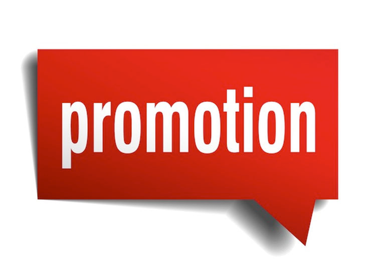 Promotion 2025-1